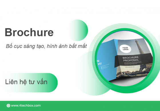 Thiết kế brochure